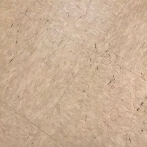 Meet your Posher, Areadus